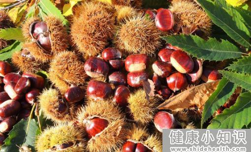 板栗的功效与作用 板栗怎么去皮和壳小妙招